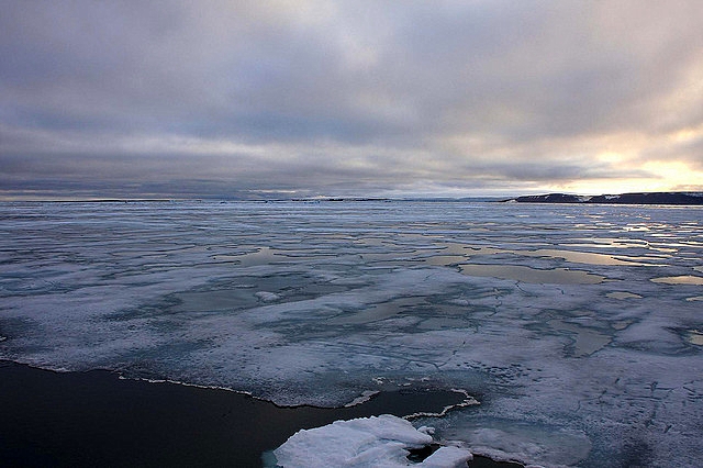 Gelo marinho visto de Svalbard. Crédito: Juan Vidal